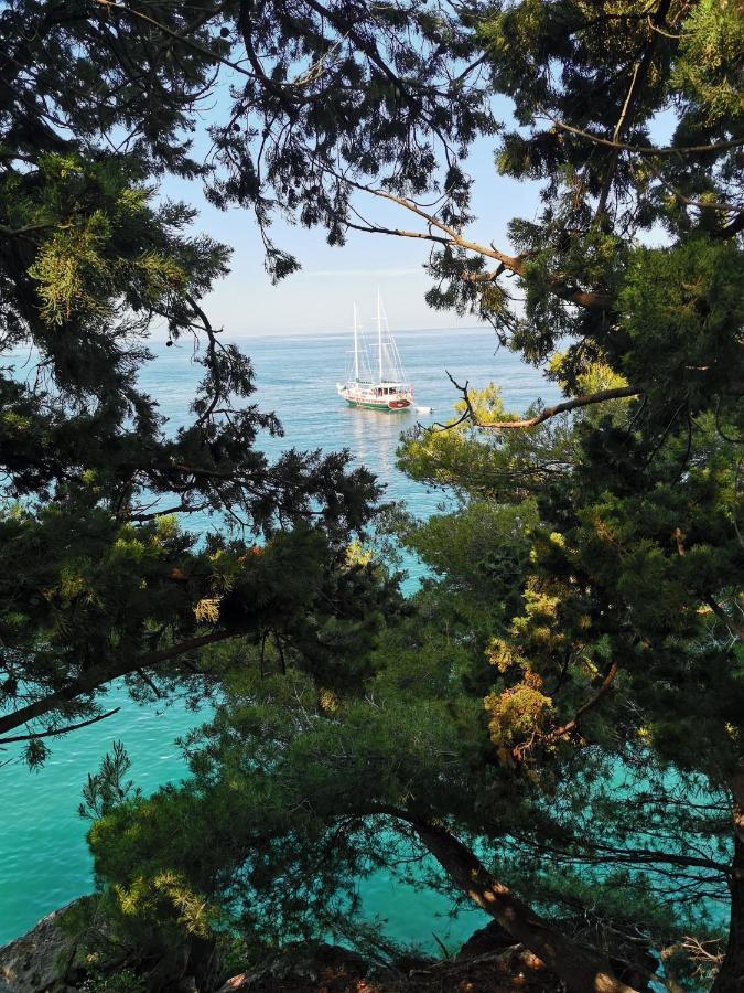 Langust - Free Parking Leilighet Sveti Stefan Eksteriør bilde